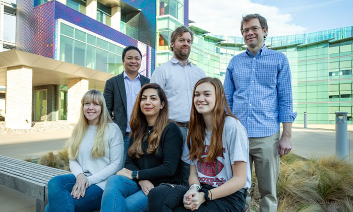 Researchers Brighten Path for Creating New Type of MRI Contrast Agent