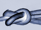 Multi Wall Carbon Nanotube Yarn