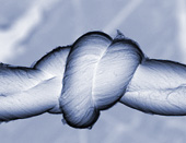 Multi Wall Carbon Nanotube Yarn
