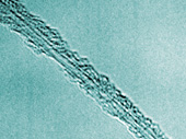 Single Wall Carbon Nanotube